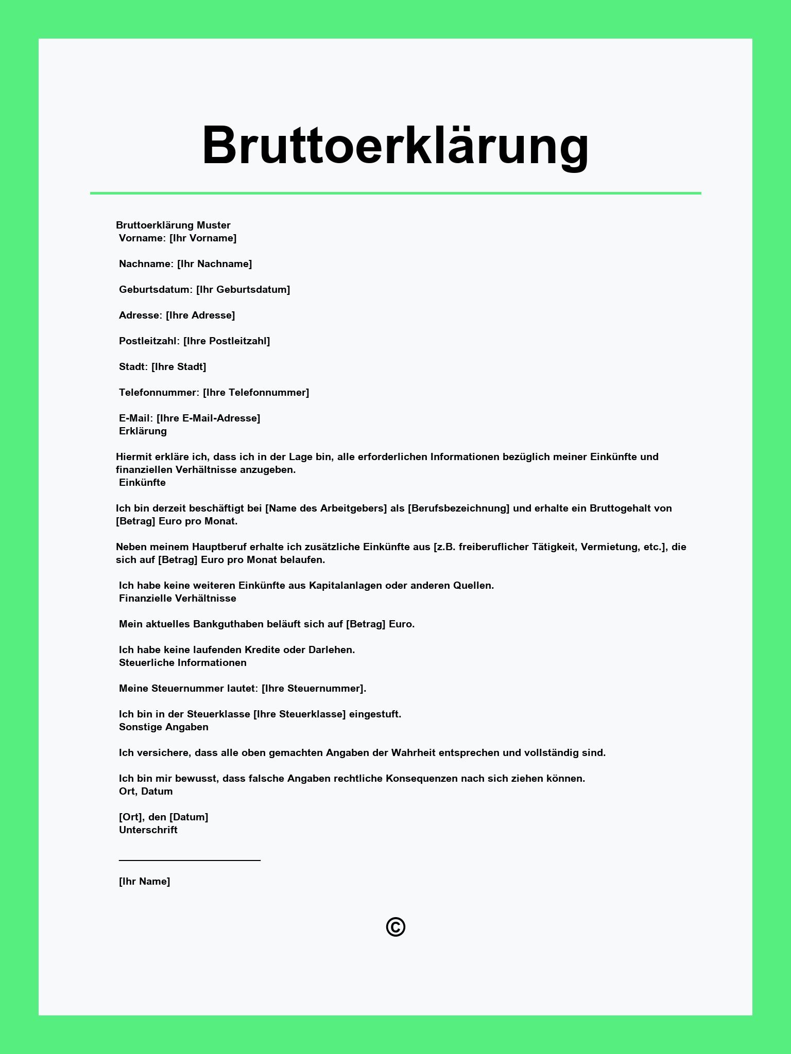 Bruttoerklärung